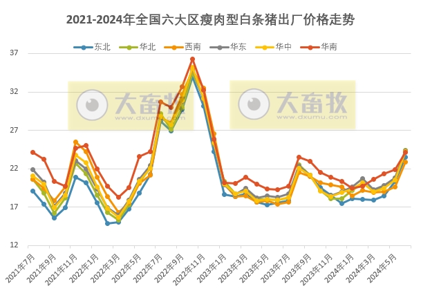 2024年6月及上半年生猪行业数据汇总
