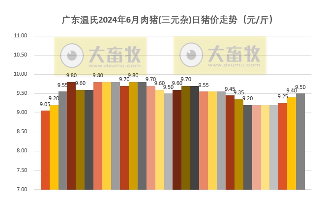 2024年6月及上半年生猪行业数据汇总