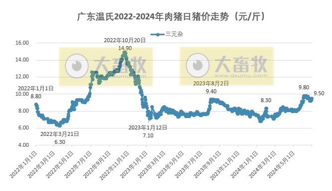 2024年6月及上半年生猪行业数据汇总