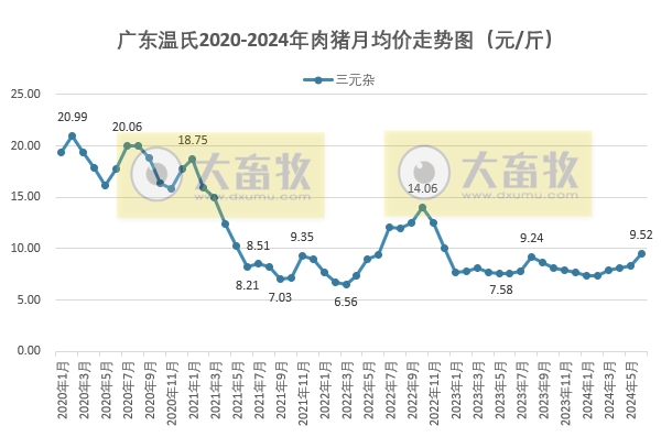 2024年6月及上半年生猪行业数据汇总