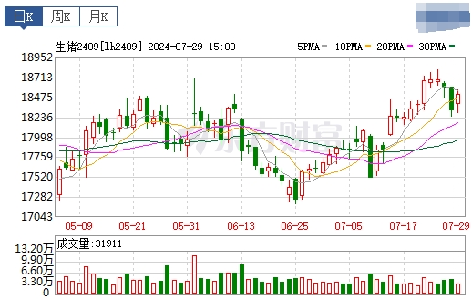 2024.07.30今日猪价——一路飘红,创新高,9省突破10元
