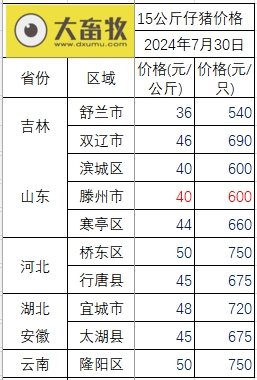 2024.07.30今日猪价——一路飘红,创新高,9省突破10元