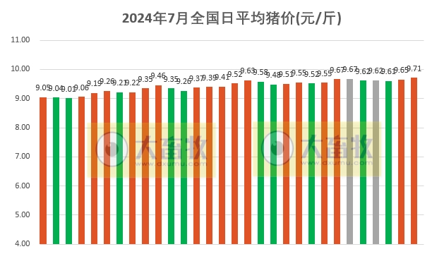 2024.07.30今日猪价——一路飘红,创新高,9省突破10元
