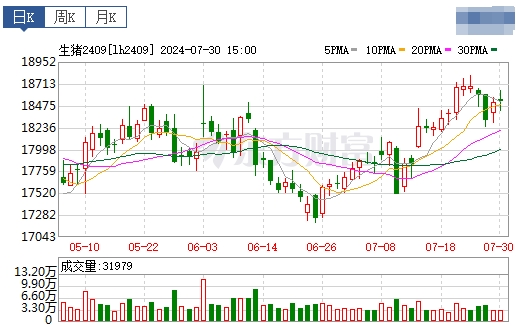 2024.07.31今日猪价——继续飘红,再创新高
