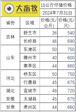 2024.07.31今日猪价——继续飘红,再创新高
