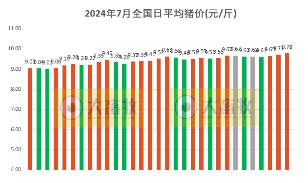 2024年7月全国生猪行业数据汇总