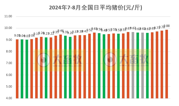 2024.08.01今日猪价——8月开门红，超半数突破10元，最高涨至10.9元