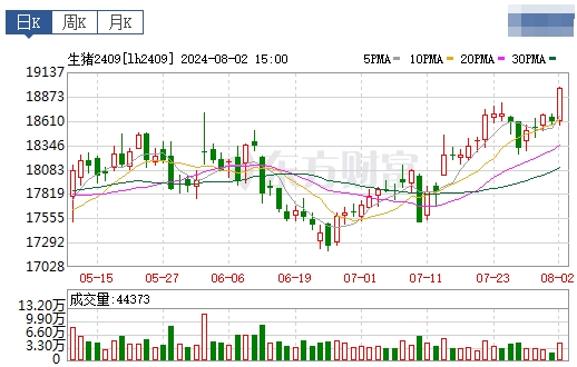 2024.08.03今日猪价——南涨北跌,上涨仍为主流