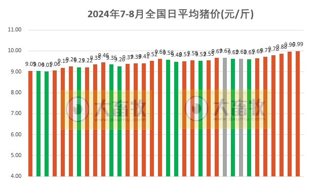 2024.08.03今日猪价——南涨北跌,上涨仍为主流