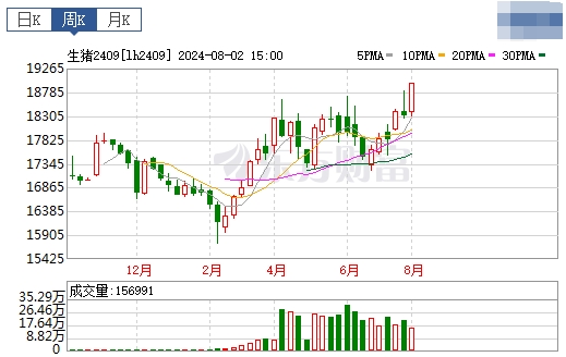 2024.08.04今日猪价——涨跌互现