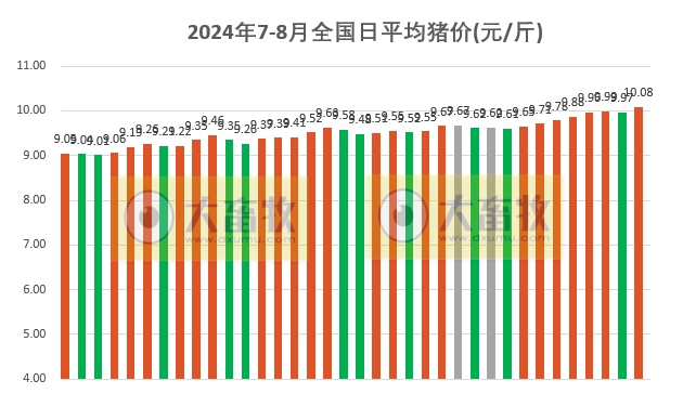 2024.08.05今日猪价——出现大幅上涨，22省突破10元，广东涨至11.2元