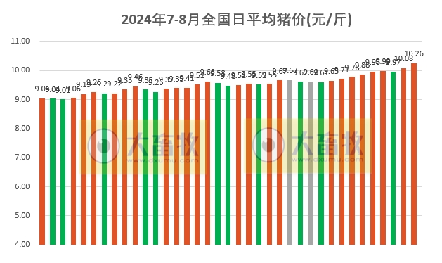 2024.08.06今日猪价——出现全面上涨，比1月低价上涨50%，有4省突破11元