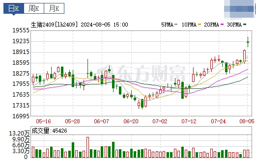 2024.08.06今日猪价——出现全面上涨，比1月低价上涨50%，有4省突破11元