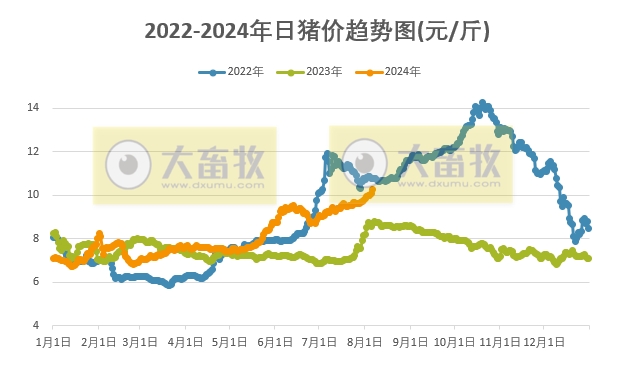 2024.08.06今日猪价——出现全面上涨，比1月低价上涨50%，有4省突破11元