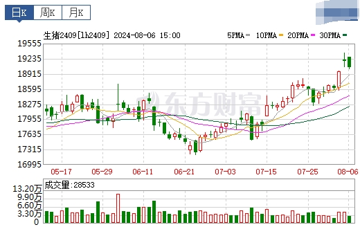 2024.08.07今日猪价——连续3天刷新今年以来最高价，广东上涨至11.5元