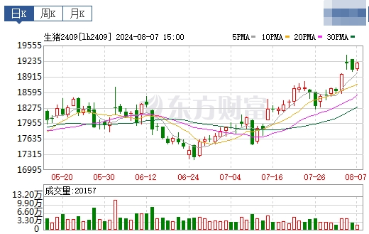 2024.08.08今日猪价——涨跌互现，广东继续上涨至11.6元