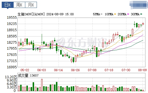2024.08.10今日猪价——再创今年以来新高