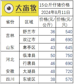 2024.08.11今日猪价——一路飘红，连续2天创今年以来新高，6省突破11元