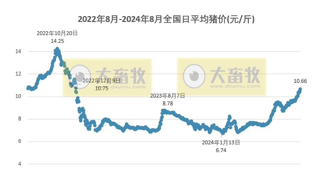 2024.08.12今日猪价——连续4天上涨，东北出现大幅上涨