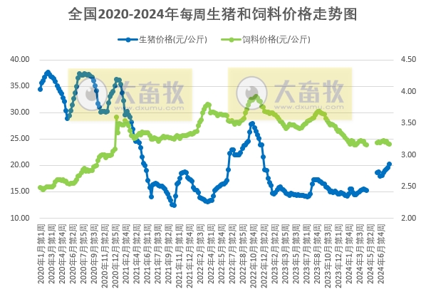 发改委：生猪供应缺口暂难补平，预计猪价将先涨后跌，均价环比上涨，生猪养殖预期利润将继续小幅增加——2024年8月第1周全国猪粮比情况