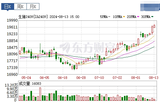 2024.08.14今日猪价——涨跌互现