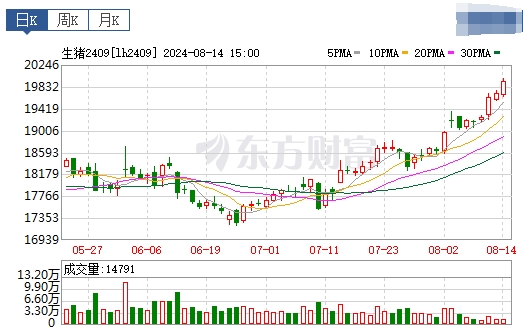 2024.08.15今日猪价——华北东北全面上涨