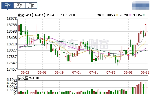 2024.08.15今日猪价——华北东北全面上涨