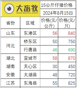 2024.08.15今日猪价——华北东北全面上涨