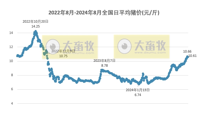 2024.08.15今日猪价——华北东北全面上涨