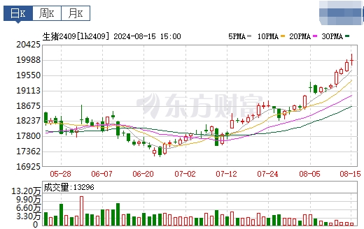 2024.08.16今日猪价——多地出现上涨