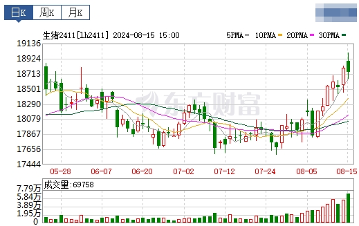 2024.08.16今日猪价——多地出现上涨