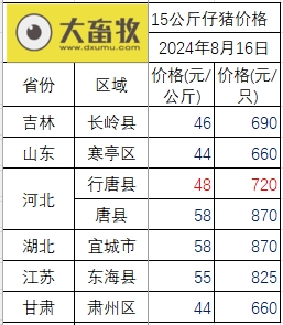 2024.08.16今日猪价——多地出现上涨