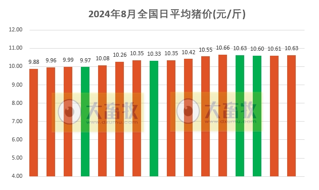 2024.08.16今日猪价——多地出现上涨