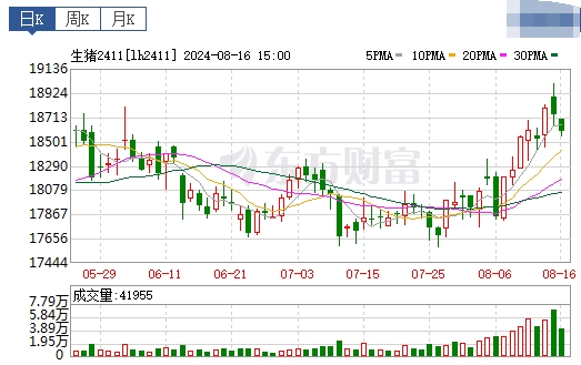 2024.08.17今日猪价——大多省份出现下跌