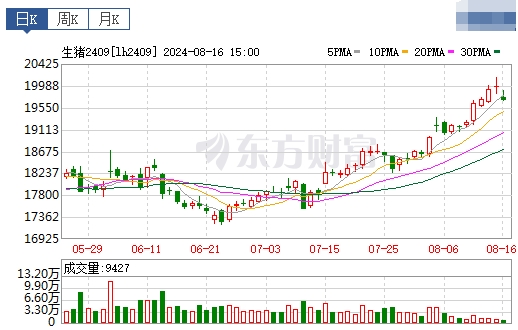 2024.08.17今日猪价——大多省份出现下跌