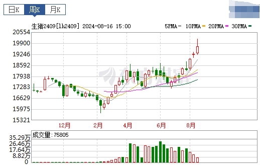 2024.08.18今日猪价——全面下跌