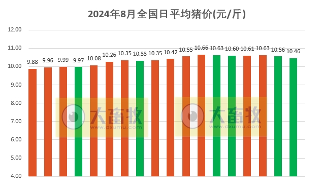 2024.08.18今日猪价——全面下跌