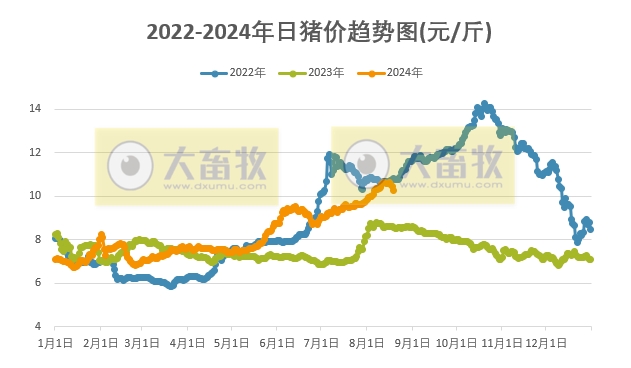 2024.08.19今日猪价——继续全面下跌，幅度扩大