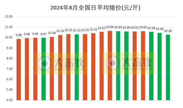 2024.08.19今日猪价——继续全面下跌，幅度扩大