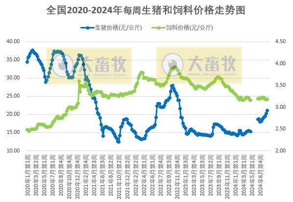 发改委:终端消费不足,猪源消化放缓,生猪供需相对平衡,预计短期猪价将进入平稳运行状态——2024年8月第2周全国猪粮比情况