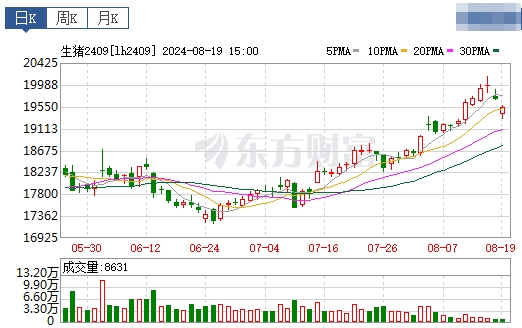 2024.08.20今日猪价——东北止跌上涨