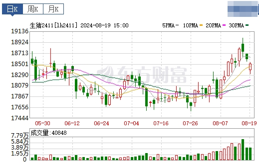 2024.08.20今日猪价——东北止跌上涨