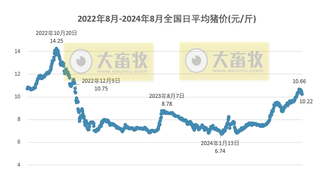 2024.08.20今日猪价——东北止跌上涨