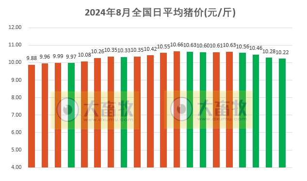 2024.08.20今日猪价——东北止跌上涨