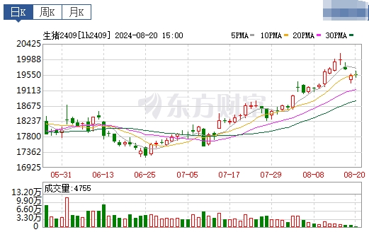 2024.08.21今日猪价——大多数省份出现上涨