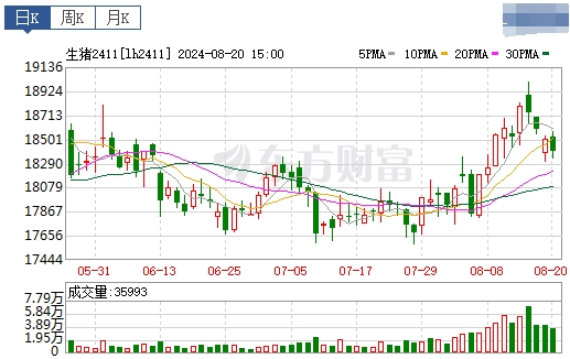 2024.08.21今日猪价——大多数省份出现上涨