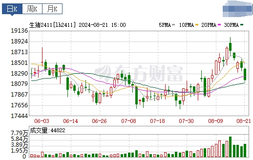 2024.08.22今日猪价——稳中带涨