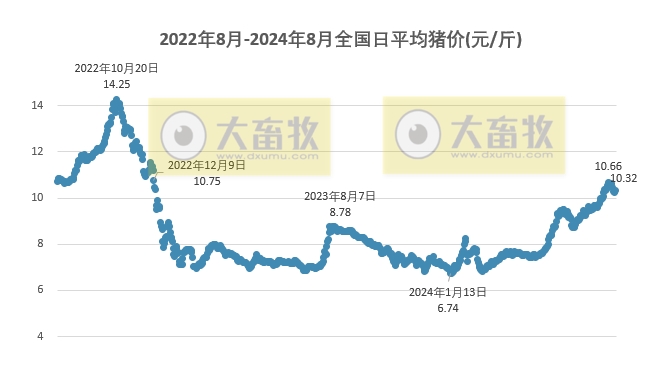 2024.08.22今日猪价——稳中带涨