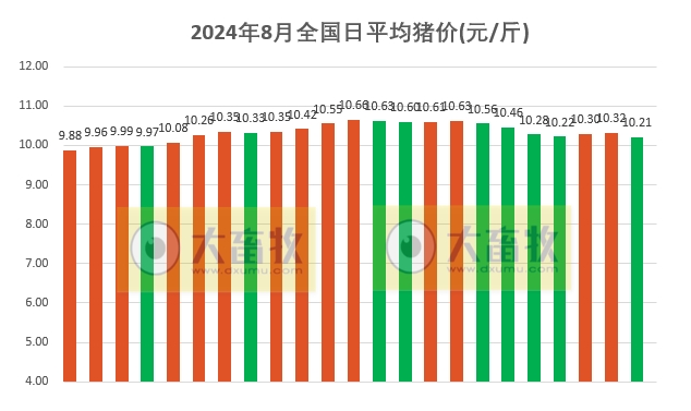 2024.08.23今日猪价——一路飘绿,跌至近18天最低