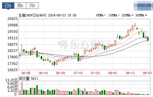 2024.08.24今日猪价——出现全面下跌，跌幅有点大